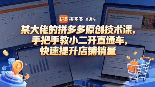 某大佬的拼多多原创技术课，手把手教小二开直通车，快速提升店铺销量 图1