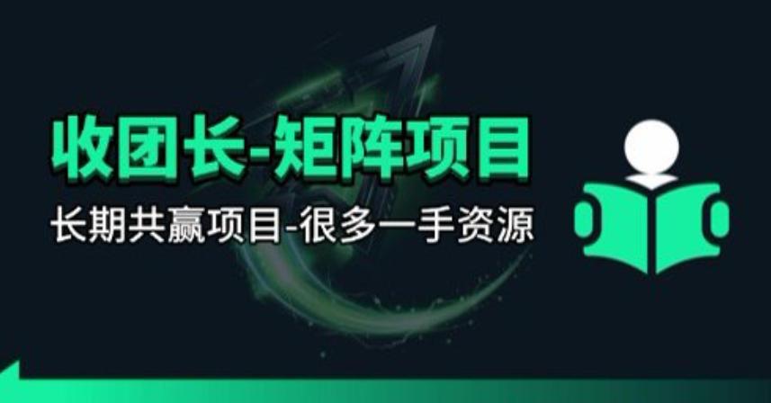 【团长合作】视频矩阵项目_招发手矩阵+剪辑师，共赢项目【揭秘】 图1