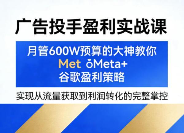 广告投手盈利实战课，月管600W预算的大神教你Meta+谷歌盈利策略，实现从流量获取到利润转化的完整掌控 图1