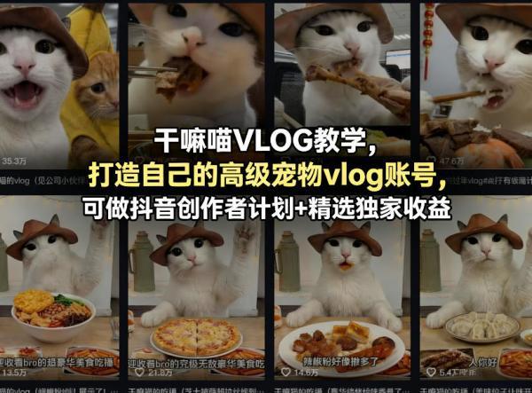 干嘛喵VLOG教学，打造自己的高级宠物vlog账号，可做抖音创作者计划+精选独家收益 图1