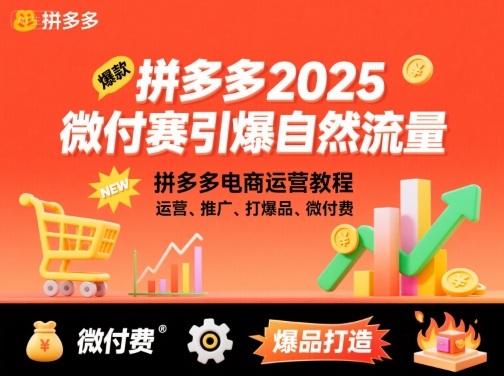 拼多多微付费引爆自然流量，拼多多电商运营教程，运营、推广、打爆品、微付费（更新26年2月） 图1