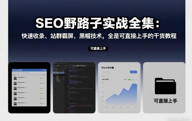 SEO野路子实战全集：快速收录、站群霸屏、黑帽技术，全是可直接上手的干货教程 图1