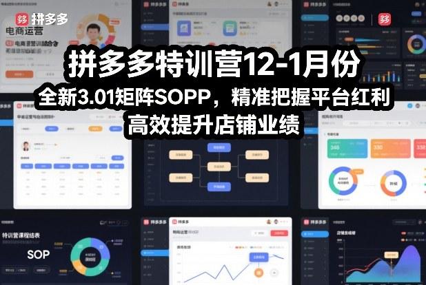 拼多多特训营12-1月份，全新3.01矩阵Sop，精准把握平台红利，高效提升店铺业绩 图1