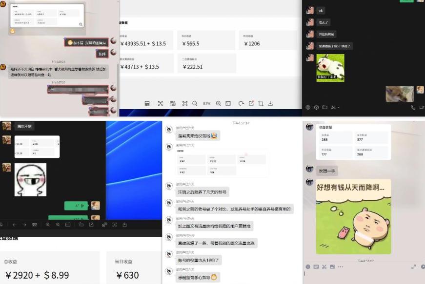 雷神加速器项目模拟器_无脑1分钟1条视频矩阵_疯狂报单打法【焚诀】 图1