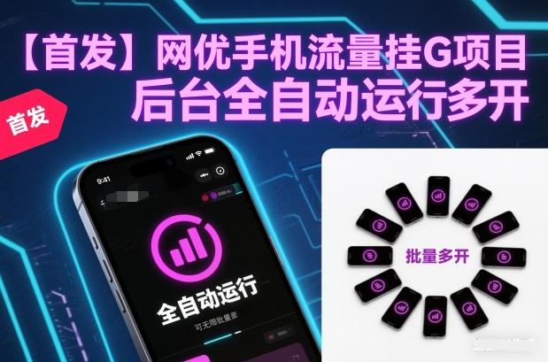 【首发】网优手机流量挂G项目，后台全自动运行，可无限批量多开【揭秘】 图1
