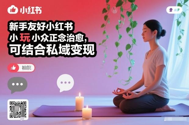 新手友好小红书小众正念治愈，玩法简单，可结合私域变现 图1