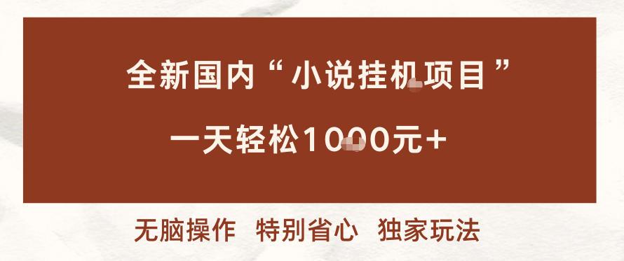 全新国内小说挂G项目，多窗口无脑跑，一天轻松1k+，特别省心【揭秘】 图1