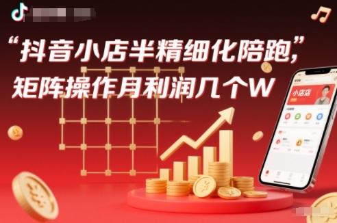 抖店半精细化铺货【1期+2期】，抖音小店半精细化陪跑，矩阵操作月利润几个W（更新12月） 图1