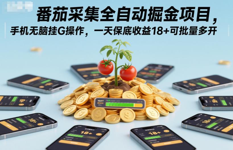 番茄采集全自动掘金项目，手机无脑挂G操作，一天保底收益18+可批量多开【揭秘】 图1