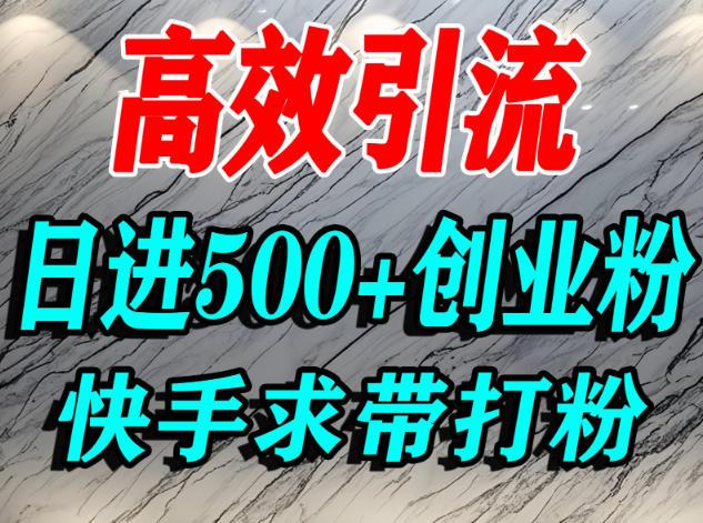 怎么打创业粉？快手求带视角精准引流创业粉，宝妈、学生群体日进500+精准流量 图1