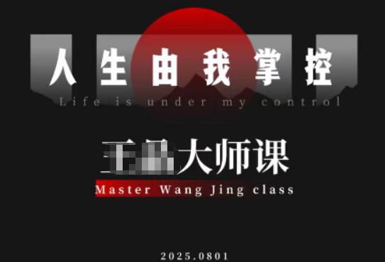 流量破局-人生由我掌控，从素人快速进阶，实现流量与商业价值双丰收 图1