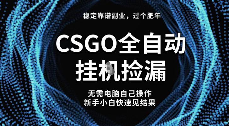 【稳定副业】全球最热门游戏CSGO全自动捡漏，最新玩法，新手小白日入5张+【揭秘】 图1