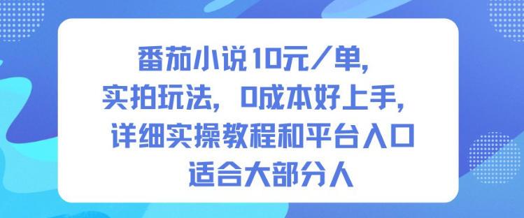番茄小说10米每单，实拍玩法，0成本好上手，详细实操教程和平台入口适合大部分人 图1