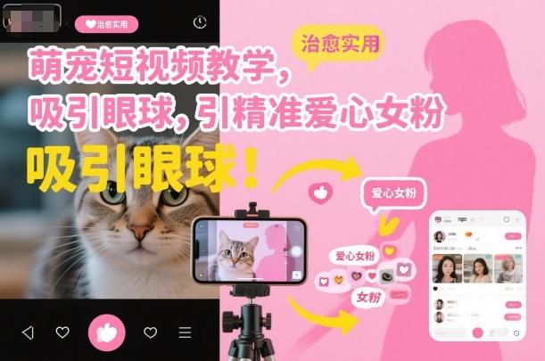 萌宠短视频教学，吸引眼球，引精准爱心女粉 图1