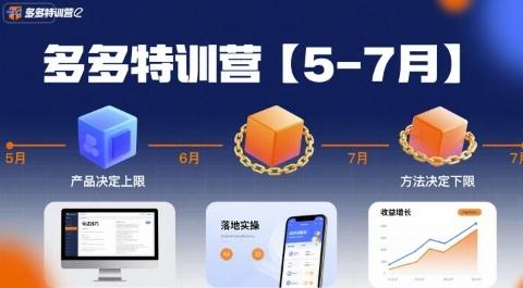 多多特训营产品决定上限，方法决定下限，各种玩法技巧落地实操（更新） 图1