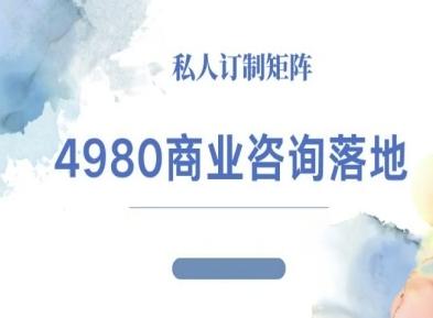 4980商业咨询师落地课程-ip运营高客单教程 图1