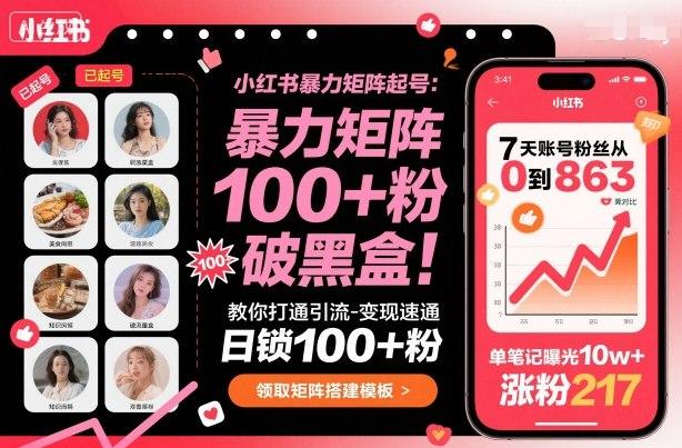 小红书暴力矩阵起号，教你打通引流-变现速通，日锁100+粉，破流量黑盒 图1