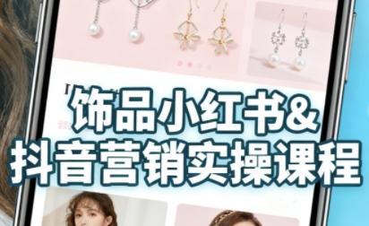 抖音+小红书饰品卖货：货源、开店、内容全教会，让新手快速掌握饰品线上营销全流程，轻松开启变现路 图1