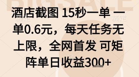 酒店截图项目，15秒一单，一单0.6米，每天任务无上限，全网首发可矩阵单日收益3张+【揭秘】 图1
