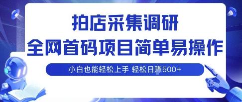 拍店采集调研，全网首码项目，简单易操作， 小白也能轻松上手，多账号操作，轻松日入5张【揭秘】 图1