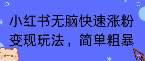 小红书无脑快速涨粉变现玩法，简单粗暴 图1