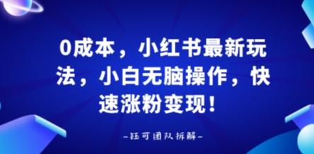 0成本，小红书最新玩法，小白无脑操作，快速涨粉变现 图1