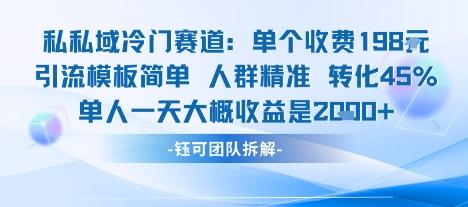私域冷门赛道单个收费198米引流模板简单人群精准 45%的转化率单人一天大概收益多张 图1
