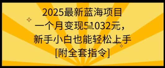 2025最新蓝海项目一个月变现1w+新手小白也能轻松上手【附全套指令】 图1