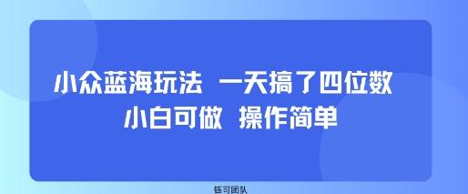 小众蓝海玩法 一天搞了四位数 小白可做 操作简单 图1