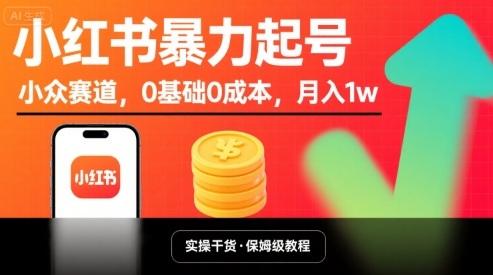 小红书暴力起号，小众赛道，0基础0成本，月入1w 图1