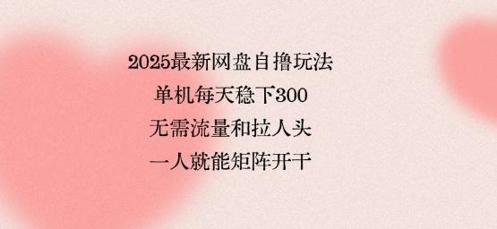 2025最新网盘自撸玩法，单机每天稳下3张，无需流量和拉人头，一个人就可轻松矩阵，全网独一份【揭秘】 图1