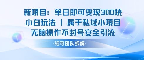 新项目单日即可变现3张的小白玩法无脑操作不封号安全引流 图1