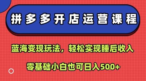 拼多多开店运营课程：蓝海变现玩法，轻松实现睡后收入，零基础小白也可日入5张 图1
