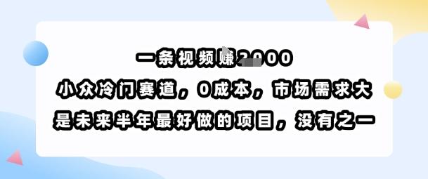 一条视频挣1k，小众冷门赛道，0成本，市场需求大，是未来半年最好做的项目，没有之一 图1