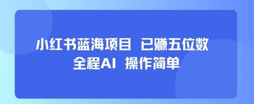 小红书蓝海项目，全程AI，操作简单，已挣五位数 图1
