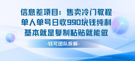 信息差项目：售卖冷门教程单人单号日收9张纯利基本就是复制粘贴就能做 图1