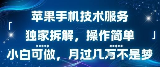 苹果手机技术服务，独家拆解，操作简单，小白可做，月过1W不是梦 图1