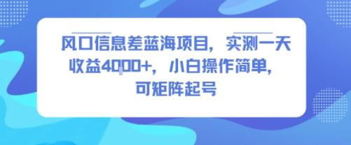 风口信息差蓝海项目，实测一天收益4k+，小白操作简单，可矩阵起号 图1