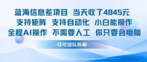 蓝海信息差项目当天收米1k+ 支持矩阵支持自动化小白能操作全程AI操作不需要人工你只要会电脑 图1