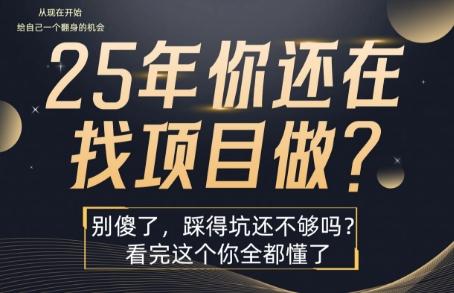 25年，你还在疯狂的找项目吗？别傻了，看完这个你都懂了【揭秘】 图1