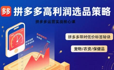 拼多多选品暴利技术实战课，拼多多高利润选品策略，拼多多限时低价标签秘诀 图1