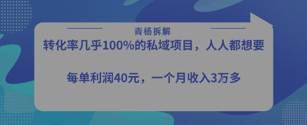 转化率最高的私域项目，每单利润40-50米，月入过1w 图1