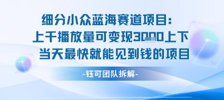 小众蓝海赛道项目：当天变现1k+适合新手操作 +适合长期玩 图1