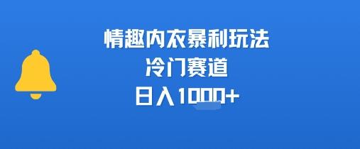 情趣内衣暴利玩法，冷门赛道，日入1k+ 图1