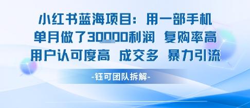 小红书蓝海项目，一部手机单月做了3W利润，小白也能月入过1W用户认可度高成交多 图1