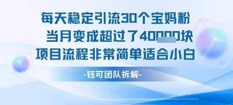 每天稳定引流30个人 当月变成超过了4个W项目流程非常简单适合小白 图1