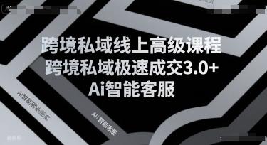 跨境私域线上高级课程，跨境私域极速成交3.0+Ai智能客服 图1