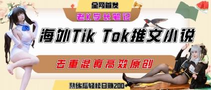 海外tiktok小说推文暴力项目,高停留率,高转化率,上手后一天搞顿饭钱不是问题 图1