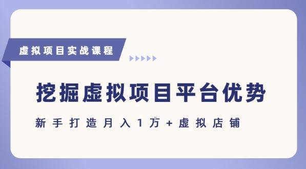 抓住虚拟项目各平台优势，新手轻松月入1W+(给出具体建议) 图1