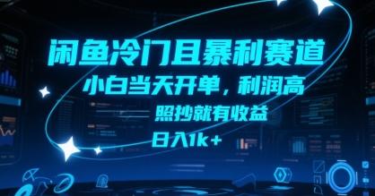 闲鱼冷门且暴利赛道，小白当天开单，利润高，照抄就有收益，日入1k+【揭秘】 图1